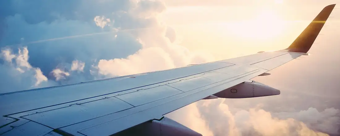 Flight