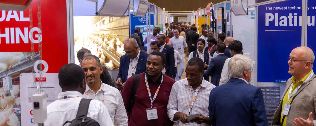 VIV Africa Venue Halls