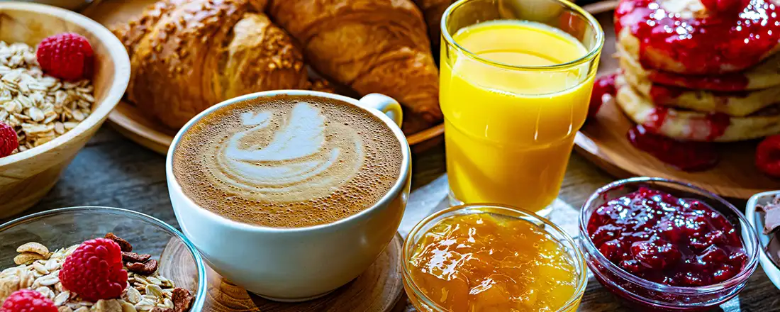 VIV-Africa_Card-Investment-and-Market-Access-Forum_Breakfast